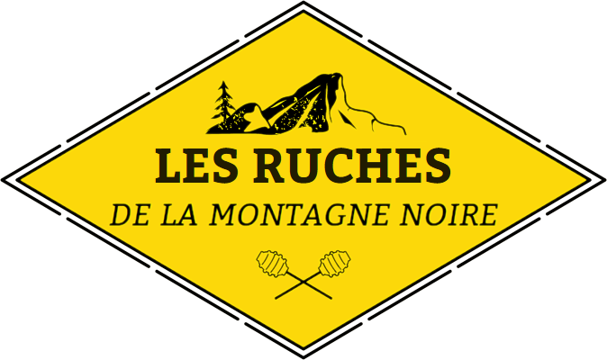 Ruche Langstroth Pamiers